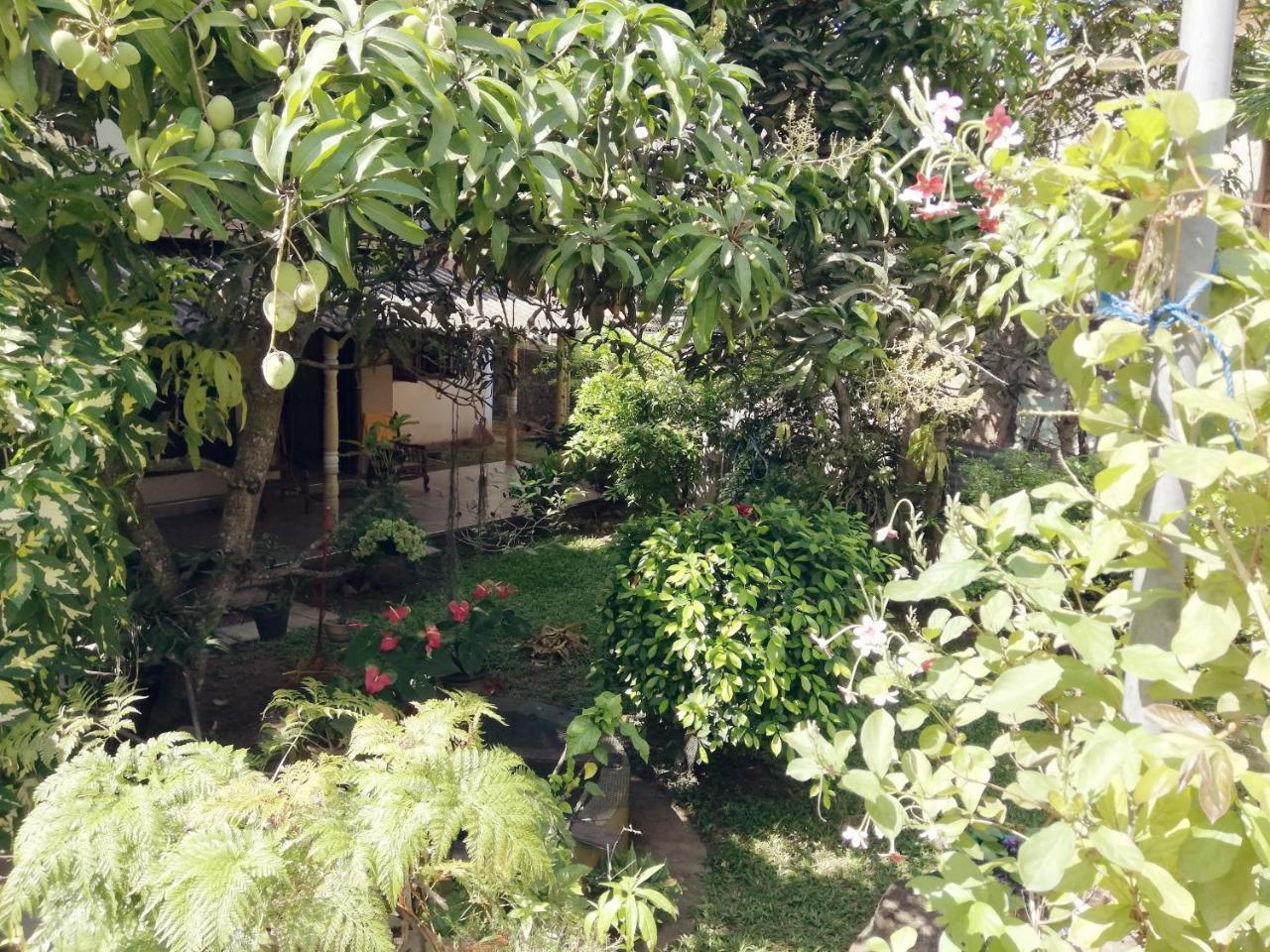 Nisadi Villa Bentota Dış mekan fotoğraf
